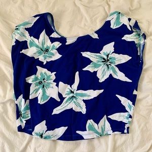 Fighting eel top Elena